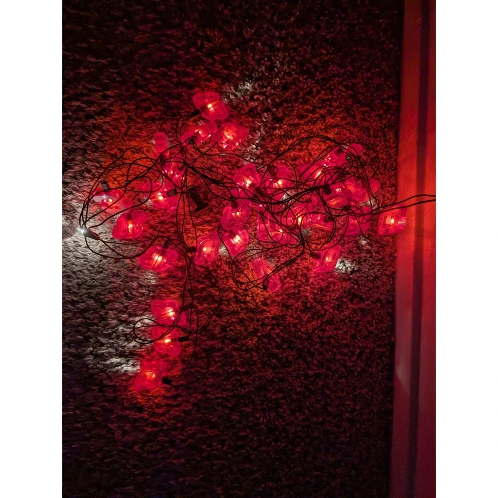 Vintage‎ Dale Earnhardt Christmas/String Lights